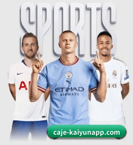 五大服务分区,信息按项目分类（6686sports）